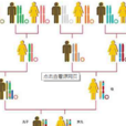 血統(由血緣形成的親屬系統) 血統(由血緣形成的親屬系統)