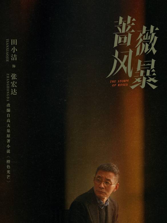 薔薇風暴(2024年惠楷棟執導的職場劇)