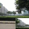 棠德花園 棠德花園