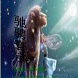 馳騁寰宇 馳騁寰宇