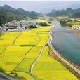 龍川村(安徽省績溪縣龍川村) 龍川村(安徽省績溪縣龍川村)