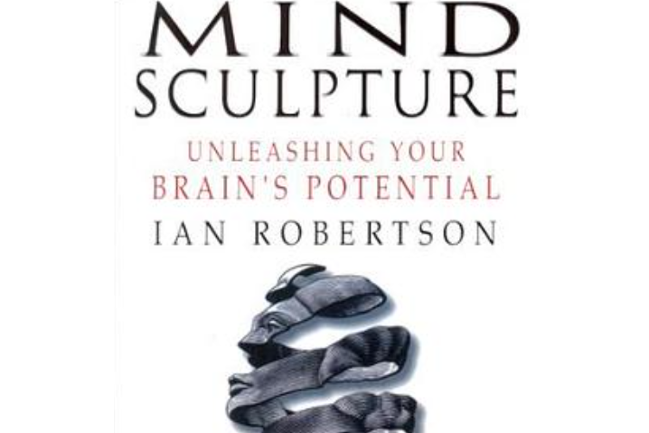 Mind Sculpture Mind Sculpture