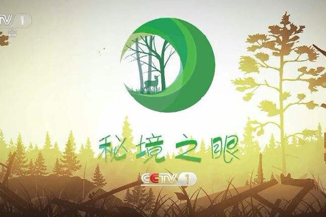 秘境之眼