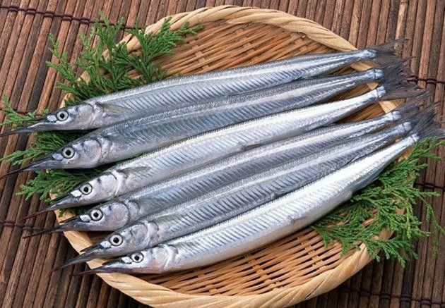 針魚(九州鱵) 針魚(九州鱵)