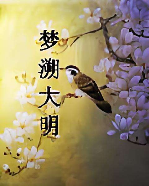 夢溯大明 夢溯大明
