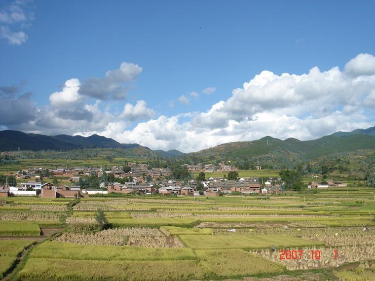 沈家莊村(雲南省巍山縣大倉鎮沈家莊村) 沈家莊村(雲南省巍山縣大倉鎮沈家莊村)