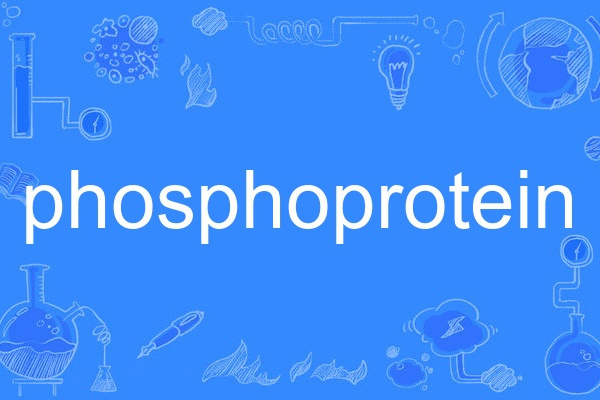 phosphoprotein phosphoprotein