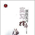 頂崗實習指導