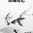 雙魂奇記 雙魂奇記