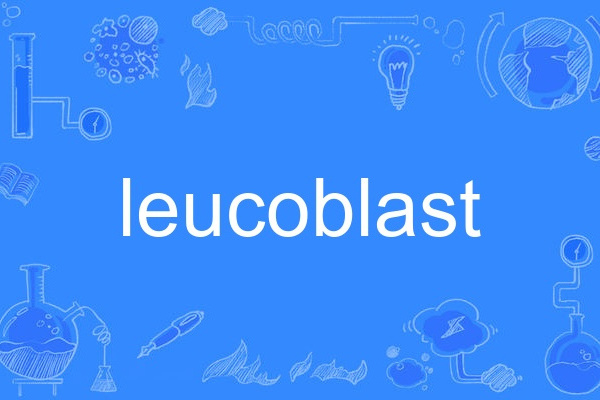 leucoblast leucoblast