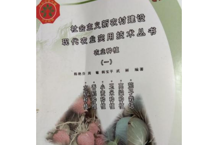 水稻種植
