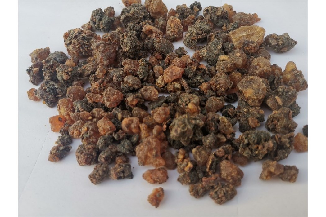 沒藥(香料名) 沒藥(香料名)