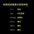 抗DNP抗體 抗DNP抗體
