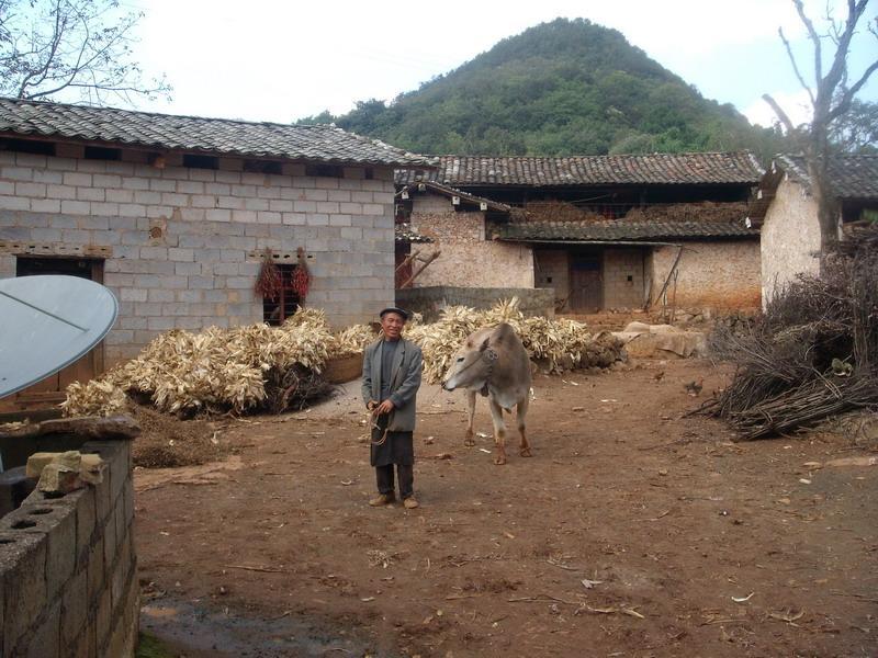 上洋洞村 上洋洞村