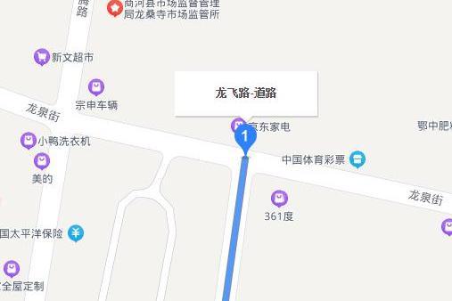龍飛路(山東省濟南市商河縣境內道路) 龍飛路(山東省濟南市商河縣境內道路)