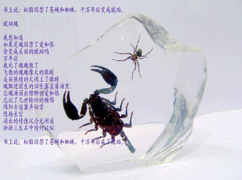 琥珀魂 琥珀魂
