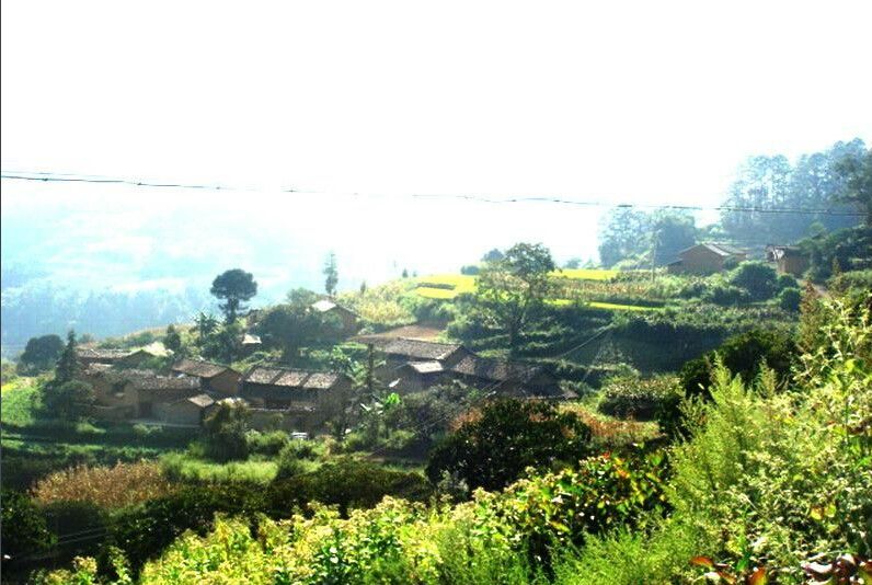 龍老村(雲南省文山州硯山縣蚌峨鄉龍老村) 龍老村(雲南省文山州硯山縣蚌峨鄉龍老村)