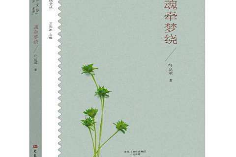 魂牽夢繞(2017年大象出版社出版的圖書) 魂牽夢繞(2017年大象出版社出版的圖書)