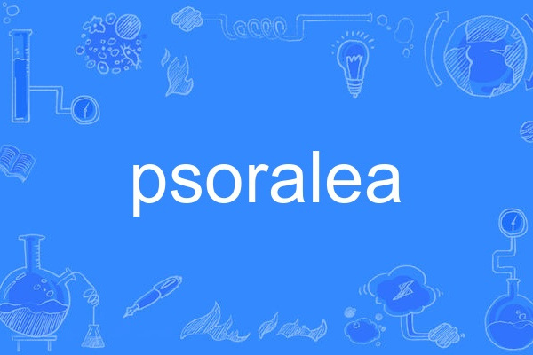 psoralea psoralea
