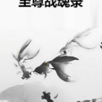 至尊戰魂錄 至尊戰魂錄