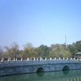 北海大橋 北海大橋