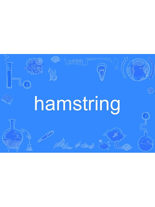 hamstring hamstring