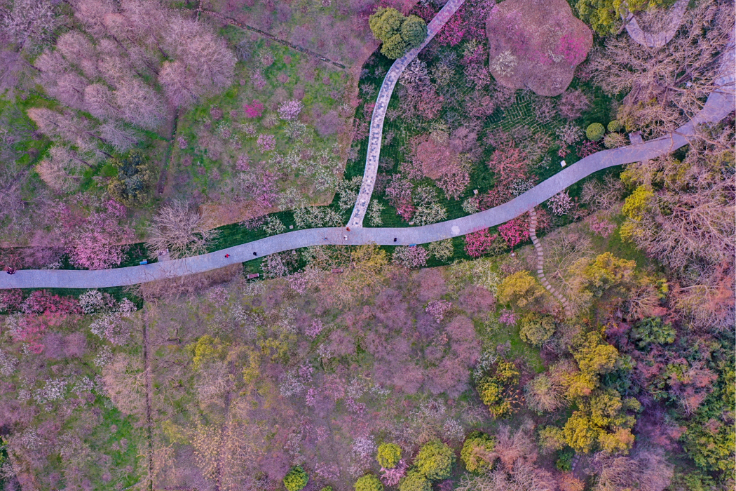 梅花山路(上杭縣梅花山路) 梅花山路(上杭縣梅花山路)