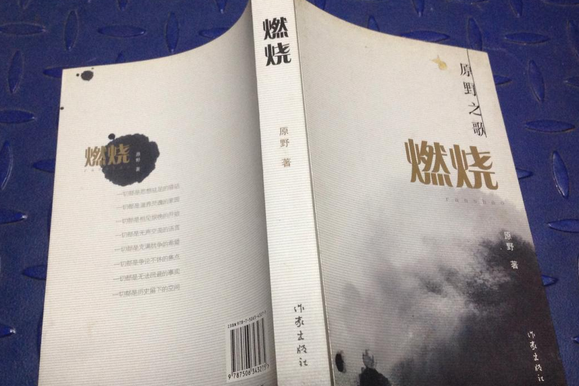 燃燒(2008年作家出版社出版的圖書) 燃燒(2008年作家出版社出版的圖書)