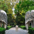 南京明陵石象