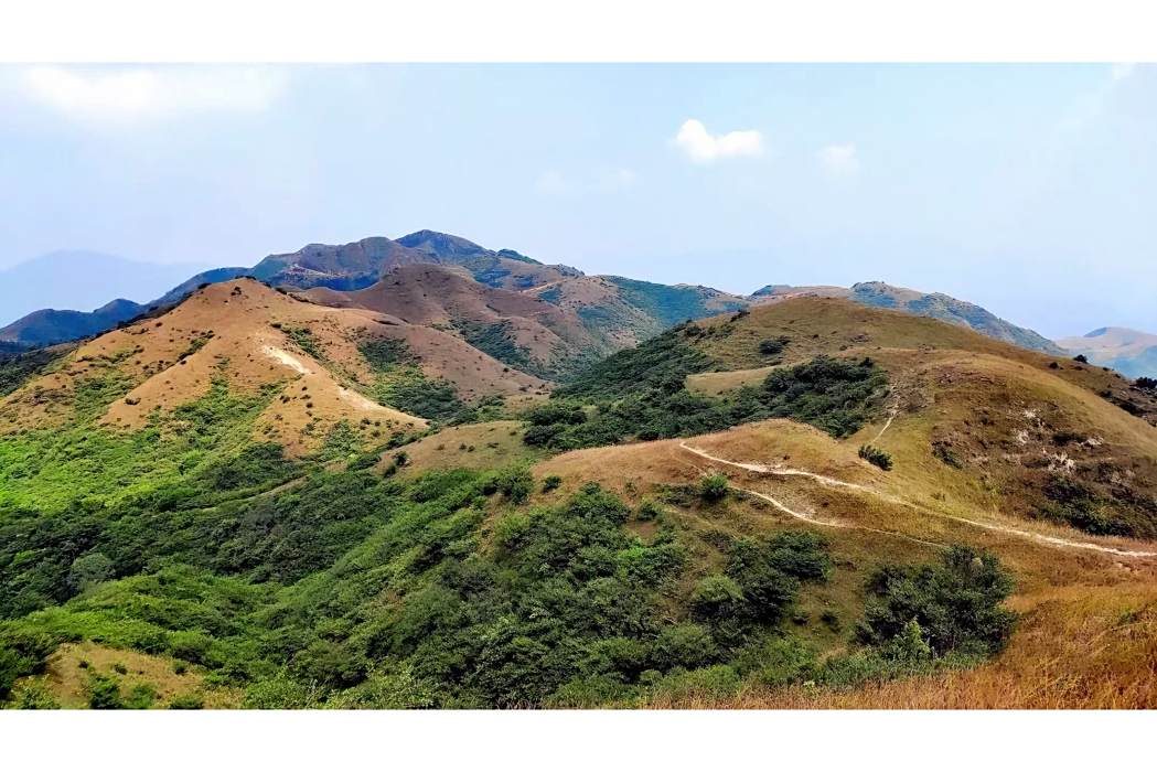 牛塘山 牛塘山