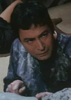 盲獸(1969年增村保造執導日本電影)