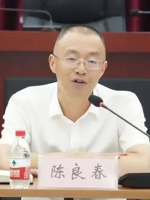 陳良春(四川路橋建設集團股份有限公司原副董事長、總經理) 陳良春(四川路橋建設集團股份有限公司原副董事長、總經理)