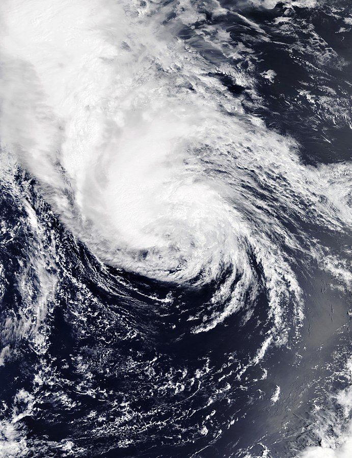 熱帶風暴尼格 衛星雲圖