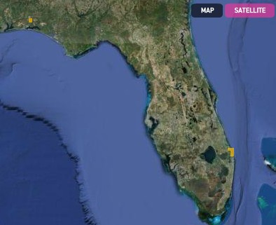 黃點所示為孔石蕊分布（美國佛羅里達州）