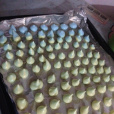 馬林糖 馬林糖