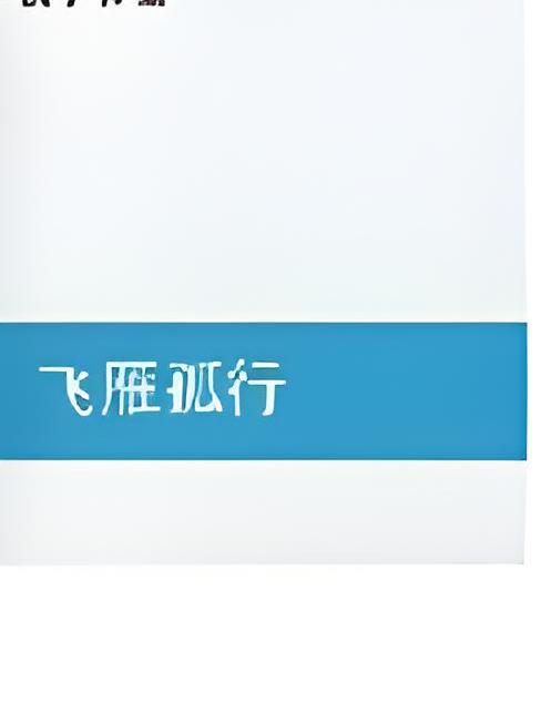 飛雁孤行 飛雁孤行