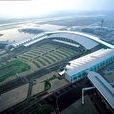 中樞機場 中樞機場