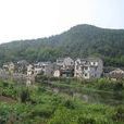 大橋村(湖南省永州市祁陽縣肖家村鎮下轄村) 大橋村(湖南省永州市祁陽縣肖家村鎮下轄村)