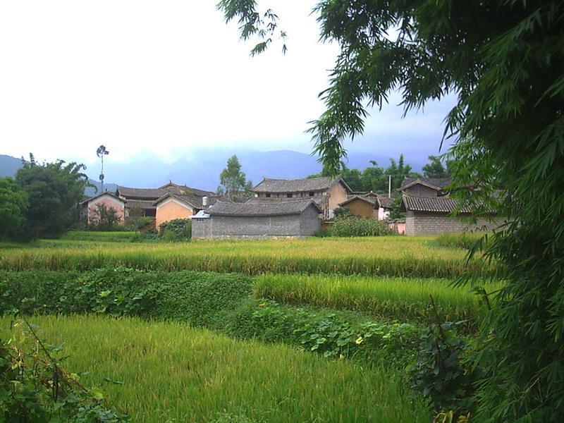 前官莊(山東省德州市慶雲縣下轄村) 前官莊(山東省德州市慶雲縣下轄村)