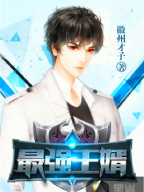 最強王婿(徽州才子創作的網路小說) 最強王婿(徽州才子創作的網路小說)