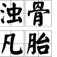 濁骨凡胎 濁骨凡胎