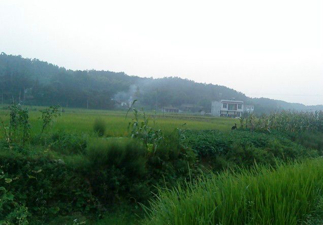 牛硐村(貴州省畢節市織金縣珠藏鎮下轄村) 牛硐村(貴州省畢節市織金縣珠藏鎮下轄村)