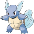 卡咪龜(Wartortle) 卡咪龜(Wartortle)
