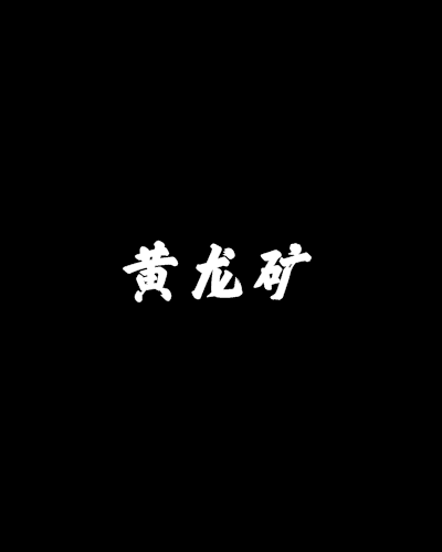 黃龍礦(是起點中文網連載的小說) 黃龍礦(是起點中文網連載的小說)