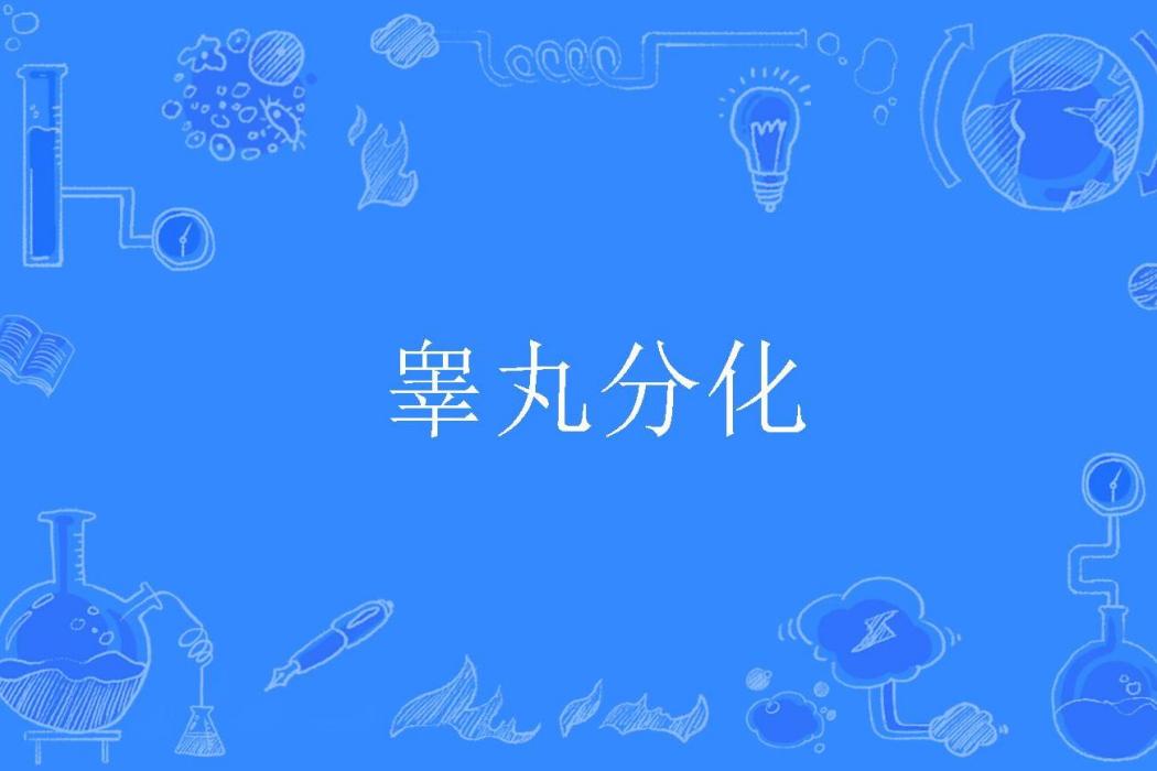 睪丸分化 睪丸分化