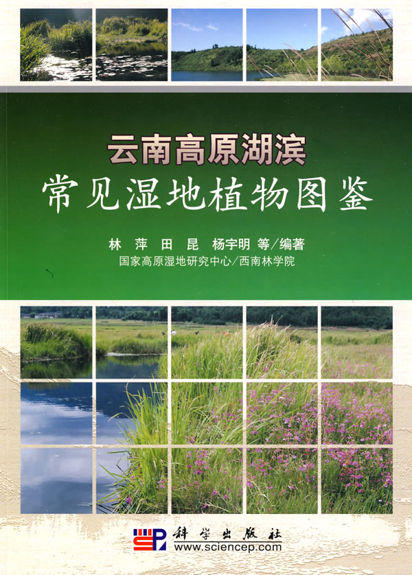 雲南高原湖濱常見濕地植物圖鑑