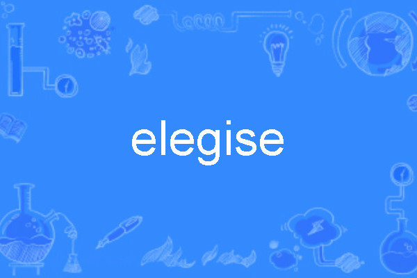 elegise elegise