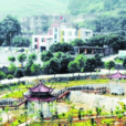 占石村 占石村