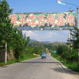 龍廷鎮