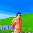 情人(韓紅演唱歌曲) 情人(韓紅演唱歌曲)